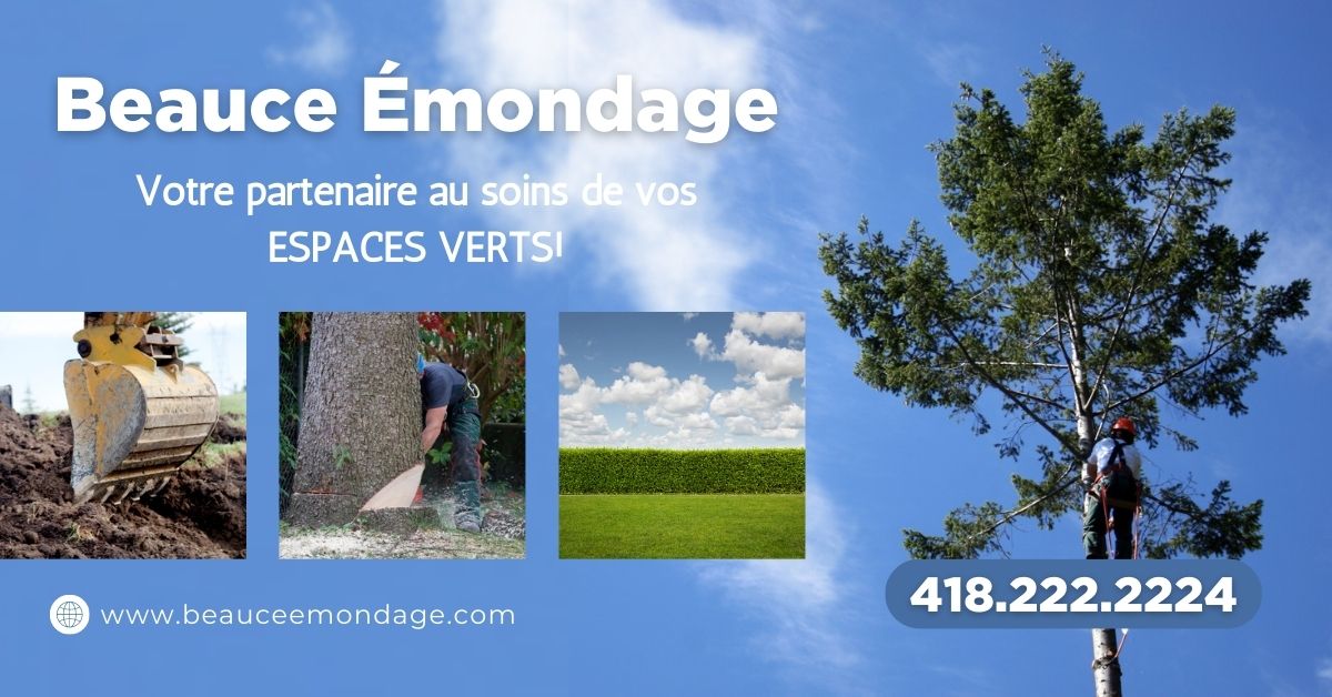 Beauce Emondage