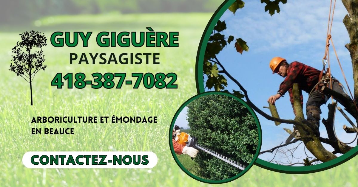 Guy Giguère Paysagiste