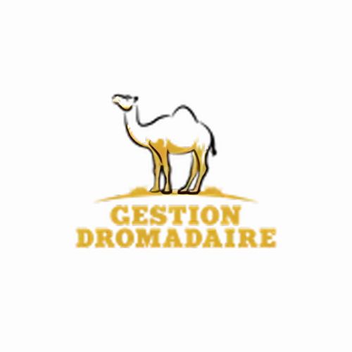 Gestion Dromadaire - Entreprise spécialisée en drain Granby