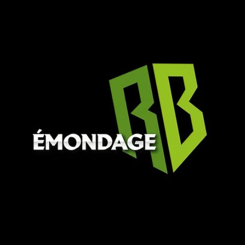 Émondage RB -  Entreprise Spécialisée en Arboriculture en Mauricie