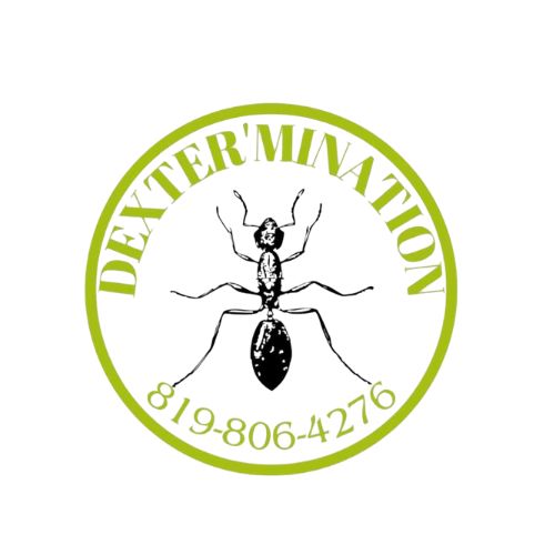 DexterMination - Entreprise spécialisée en extermination et gestion parasitaire à Acton Vale