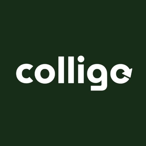 Colligo Solutions - Ramassage de débris et encombrants à Québec